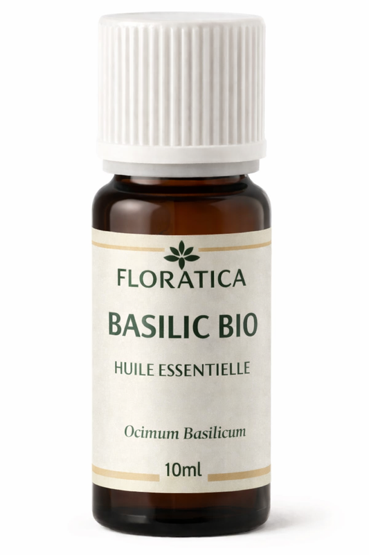 BASILIC BIO Huile essentielle  - Ocimum Basilicum - Huile essentielle 10ml - ZenStore