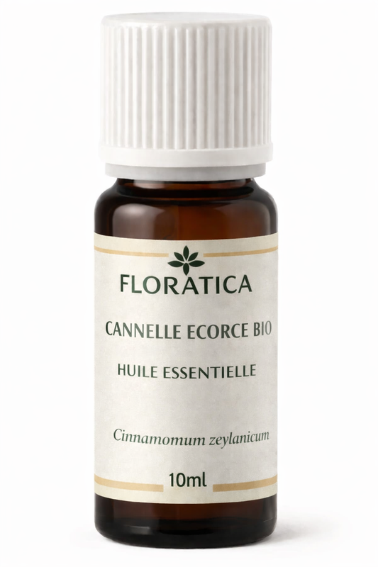 CANNELLE ECORCE Huile Essentielle bio - Chaleur, vitalité purification intense