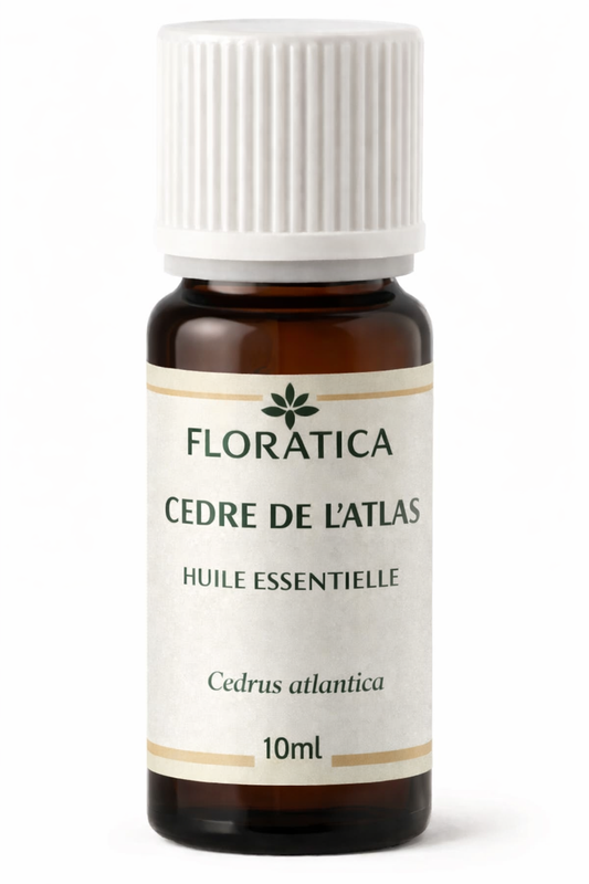 CEDRE DE L'ATLAS - Huile essentielle - Ancrage, purification et équilibre - cedrus atlantica - 10ml