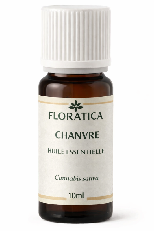 CHANVRE Huile essentielle  - Cannabis Sativa - Floratica