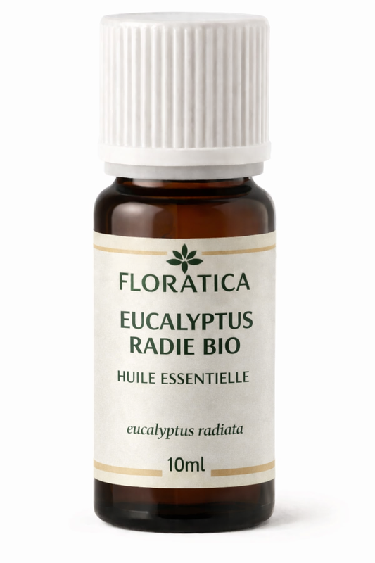EUCALYPTUS RADIE BIO - Huile essentielle bio - eucalyptus radiata  - 10ml