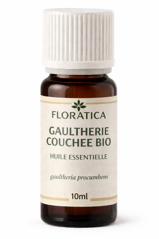 GAULTHERIE COUCHEE BIO - Huile essentielle  - gaulthéria procumbens - 10ml