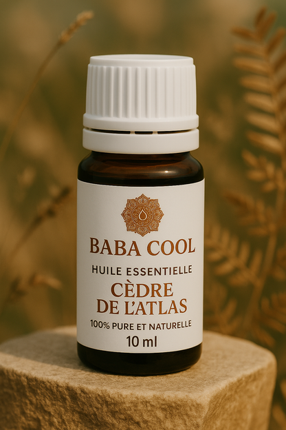 BALADE EN FORET