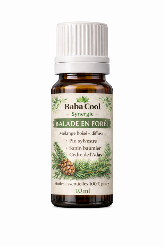 Senteurs BALADE EN FORÊT - Baba Cool